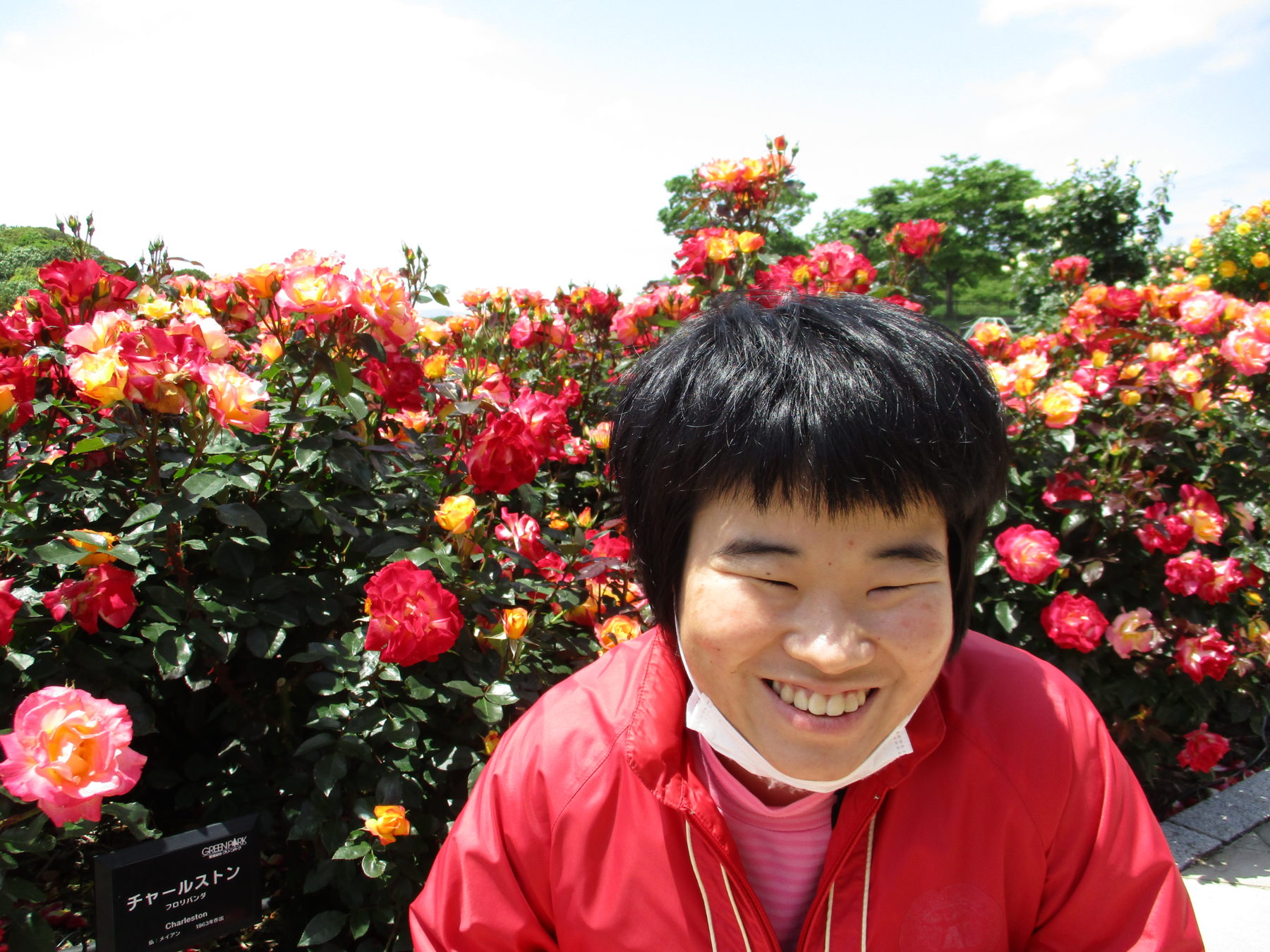 バラを感じに 社会福祉法人 北九州市手をつなぐ育成会