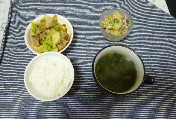 ヘルパーステーションぱすてる東部