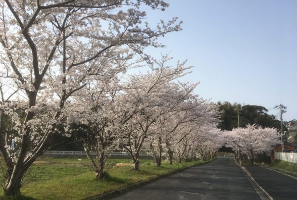 八幡西障害者地域活動センター
