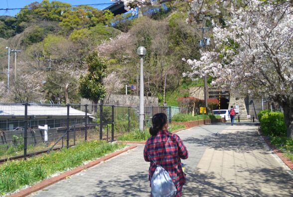 ヘルパーステーションぱすてる東部