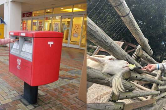 ヘルパーステーションぱすてる東部